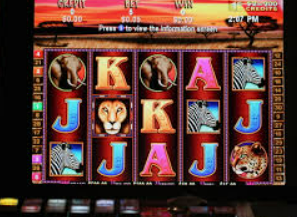 bwin必赢登录入口app官网2024最新版